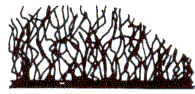 Cross Section