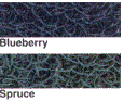 Select Colors